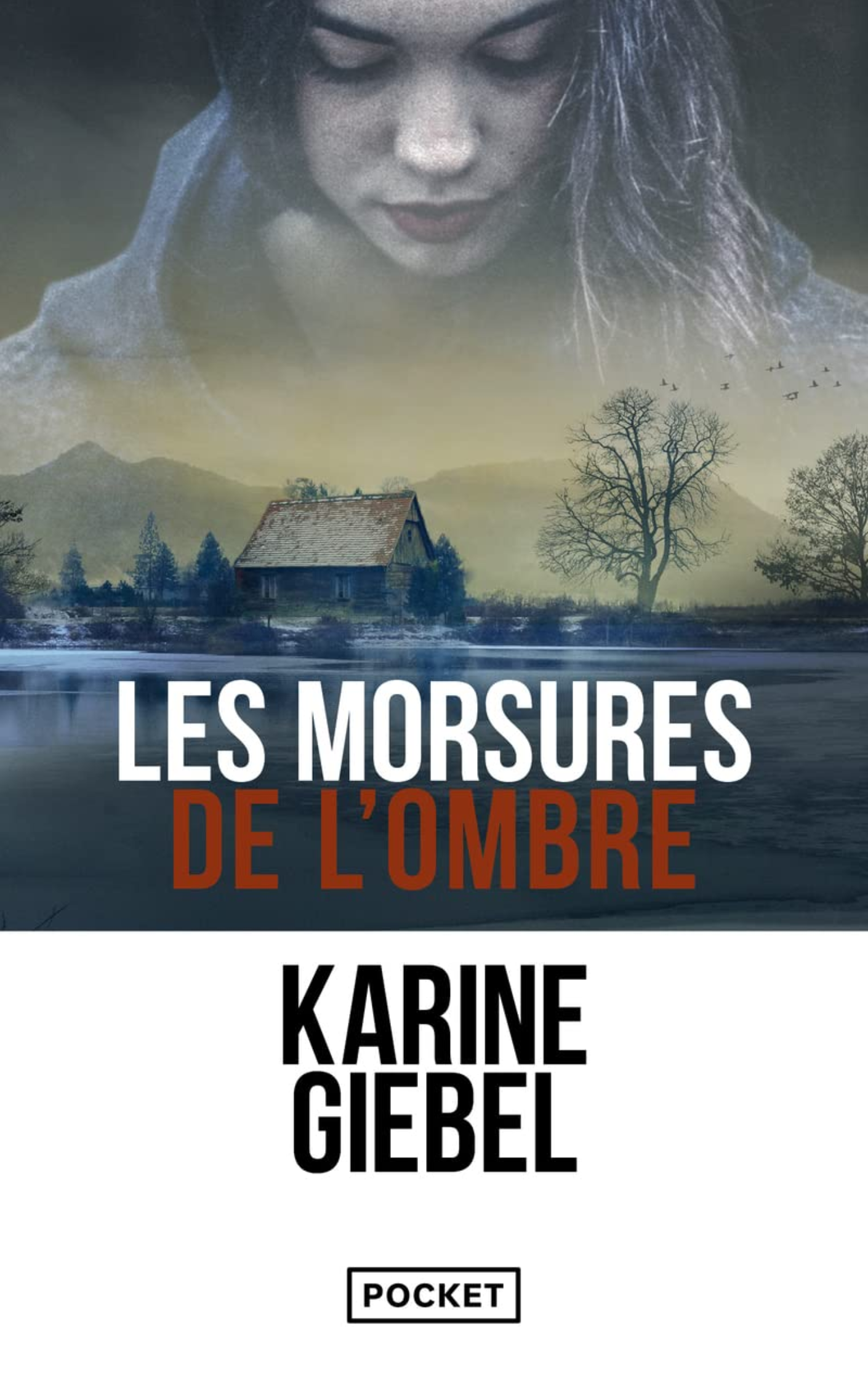 Les morsures de l'ombre
    