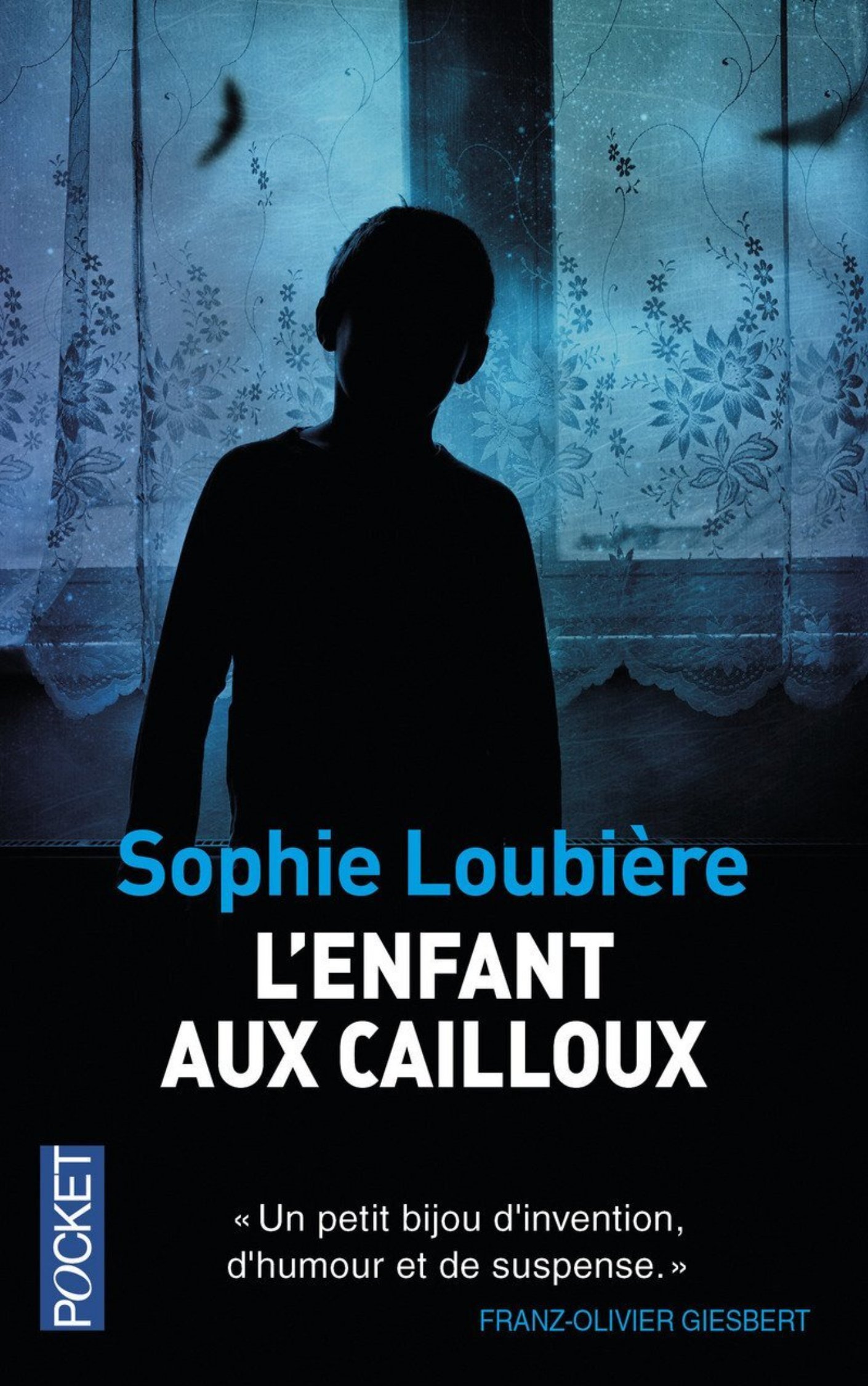 L'enfant aux cailloux, de Sophie Loubière