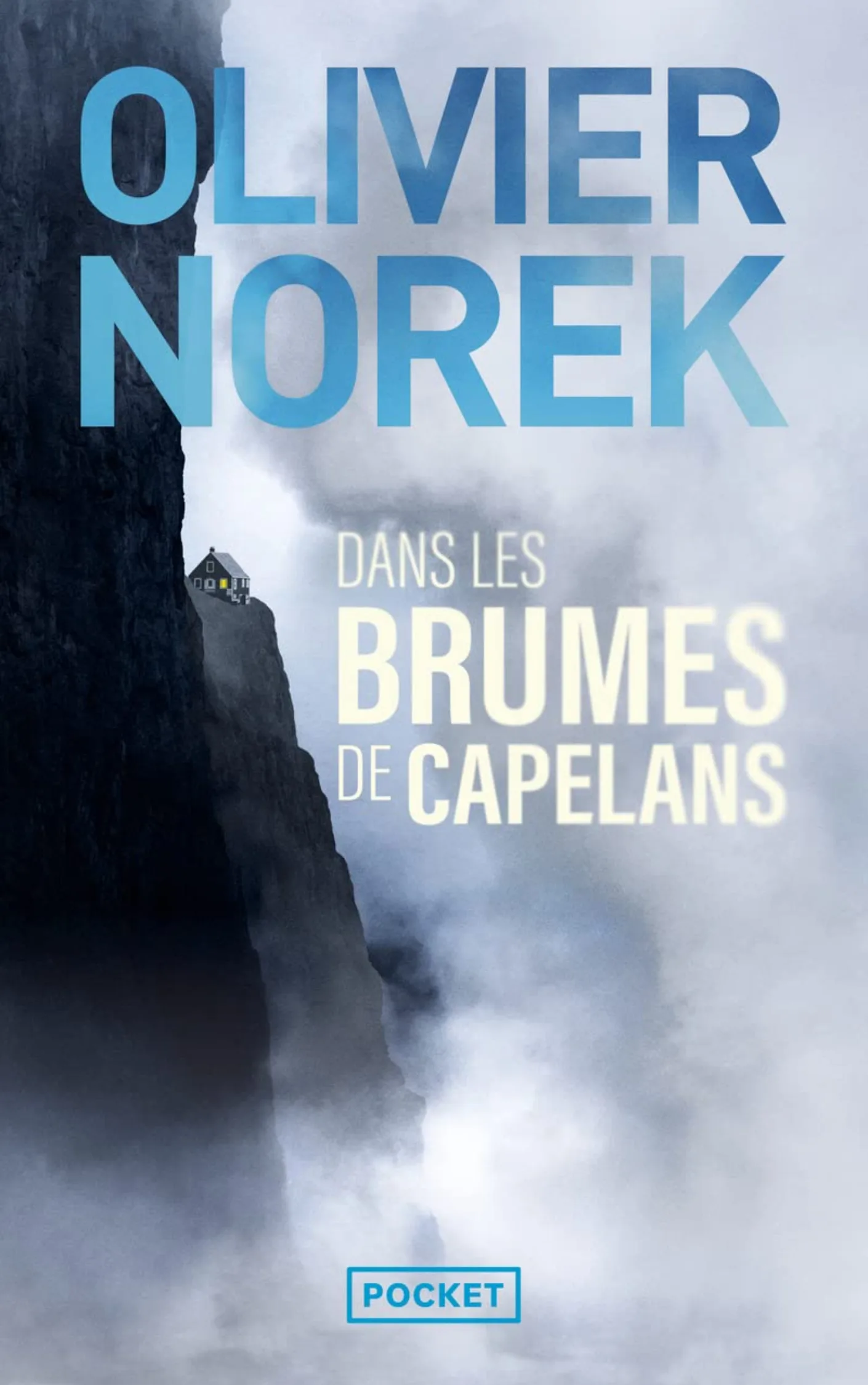 Couverture de Dans les brumes de Capelans