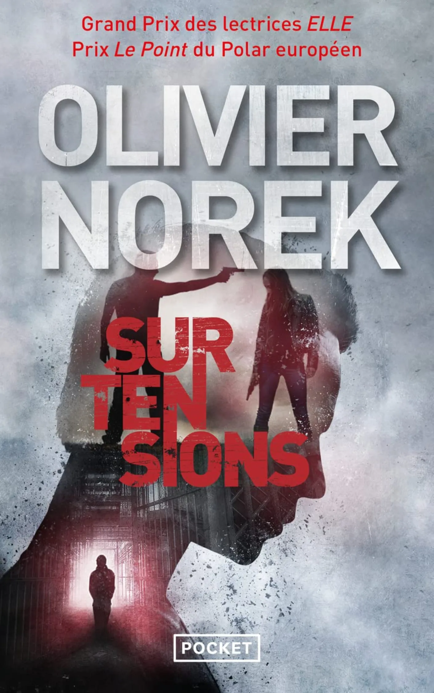 Couverture de Surtensions